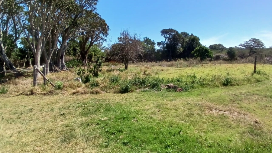 Commercial Property for Sale in Bathurst Rural Eastern Cape